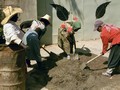 Women mixing concrete