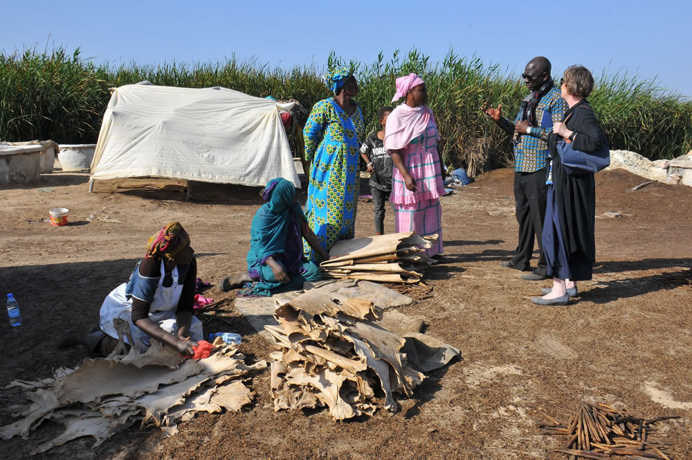 RBSA partners visit the women’s tanning cooperative in Senegal